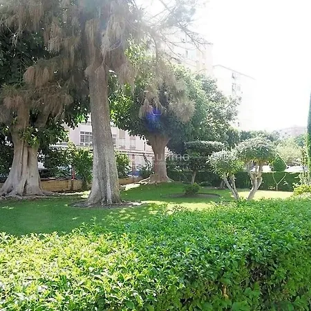 Apartment Gran San Carlos *