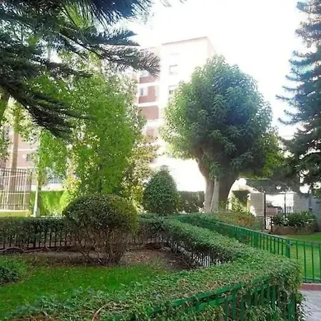 Gran San Carlos Apartment Malaga